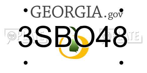 3SBO48 Georgia License Plate