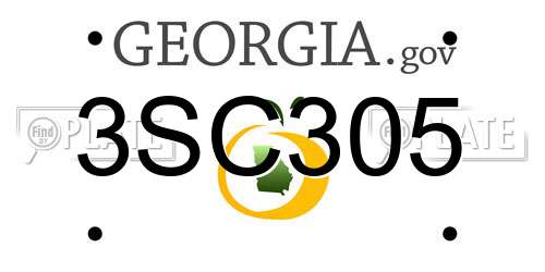 3SC305 Georgia License Plate