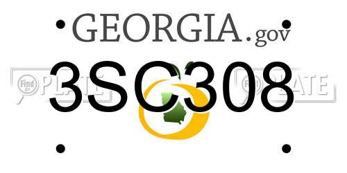 3SC308 Georgia License Plate
