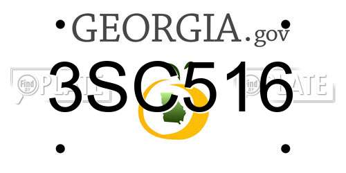 3SC516 Georgia License Plate
