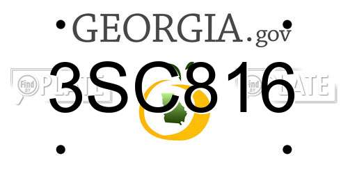 3SC816 Georgia License Plate
