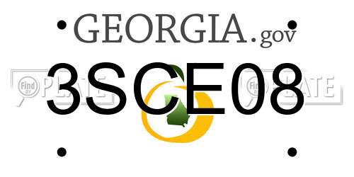 3SCE08 Georgia License Plate