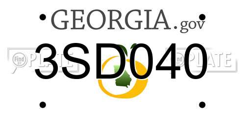 3SD040 Georgia License Plate