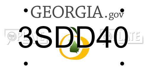 3SDD40 Georgia License Plate