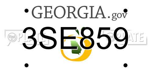 3SE859 Georgia License Plate