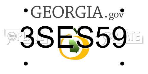 3SES59 Georgia License Plate