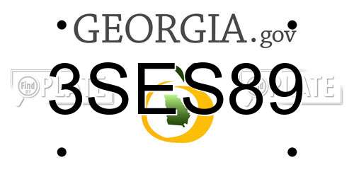 3SES89 Georgia License Plate