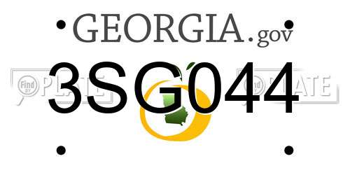 3SG044 Georgia License Plate
