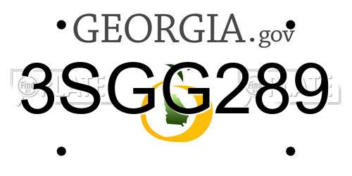 3SGG289 Georgia License Plate