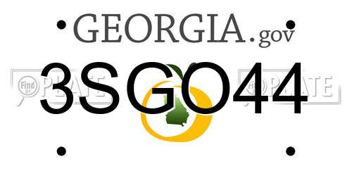 3SGO44 Georgia License Plate