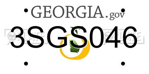 3SGS046 Georgia License Plate