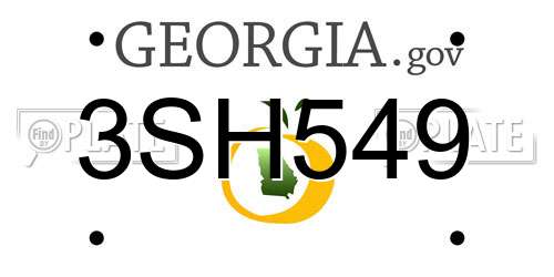 3SH549 Georgia License Plate