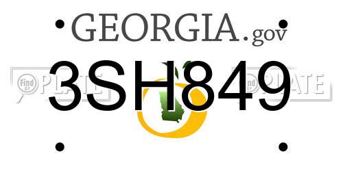 3SH849 Georgia License Plate