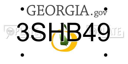 3SHB49 Georgia License Plate