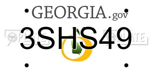 3SHS49 Georgia License Plate