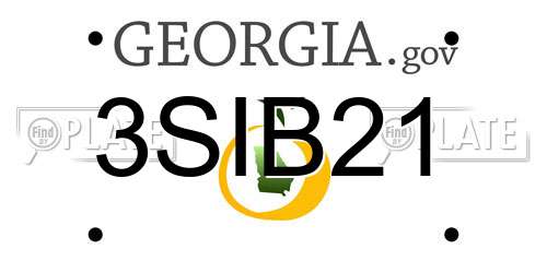 3SIB21 Georgia License Plate