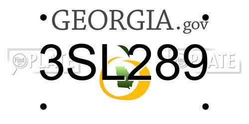 3SL289 Georgia License Plate