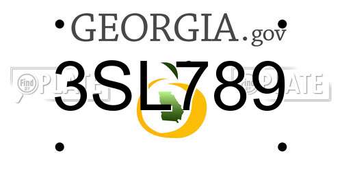 3SL789 Georgia License Plate