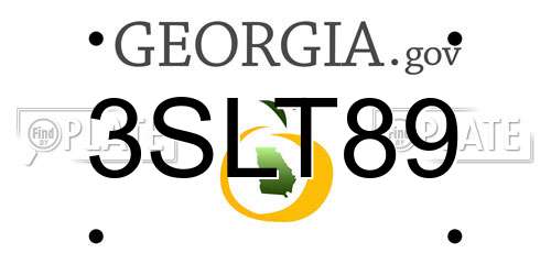 3SLT89 Georgia License Plate
