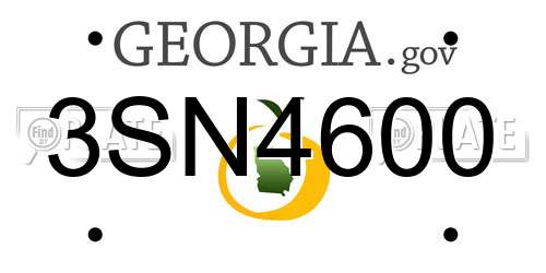 3SN4600 Georgia License Plate