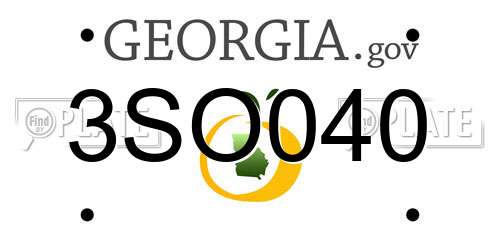 3SO040 Georgia License Plate