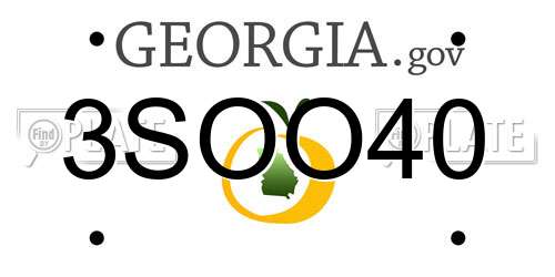 3SOO40 Georgia License Plate