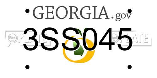 3SS045 Georgia License Plate