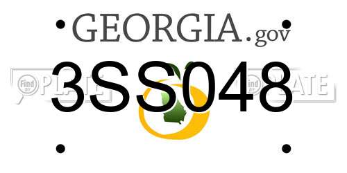 3SS048 Georgia License Plate