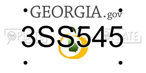 3SS545 Georgia License Plate