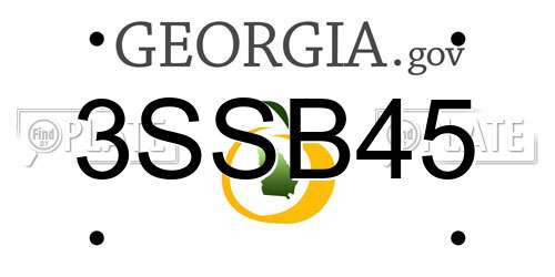 3SSB45 Georgia License Plate