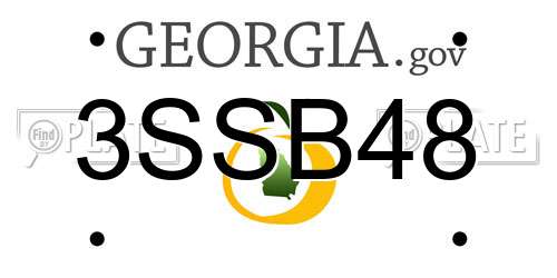3SSB48 Georgia License Plate