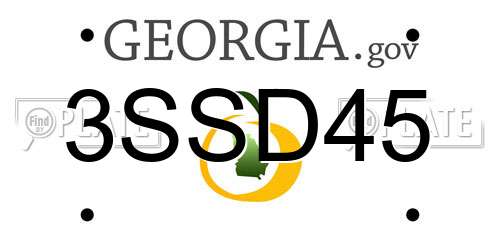 3SSD45 Georgia License Plate