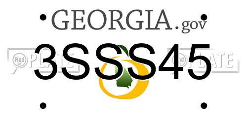 3SSS45 Georgia License Plate