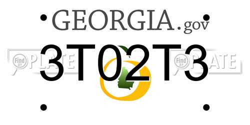 3T02T3 Georgia License Plate