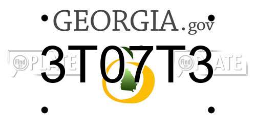 3T07T3 Georgia License Plate