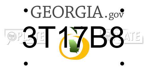 3T17B8 Georgia License Plate
