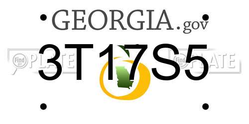 3T17S5 Georgia License Plate