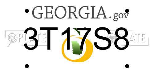 3T17S8 Georgia License Plate