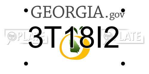 3T18I2 Georgia License Plate