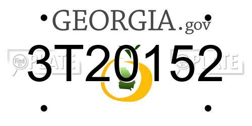 3T20152 Georgia License Plate