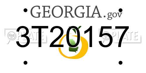 3T20157 Georgia License Plate