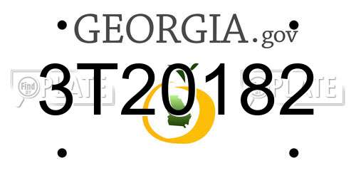 3T20182 Georgia License Plate