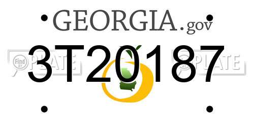 3T20187 Georgia License Plate