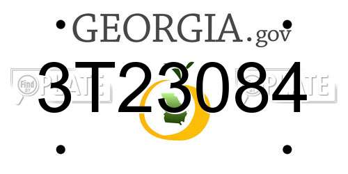 3T23084 Georgia License Plate