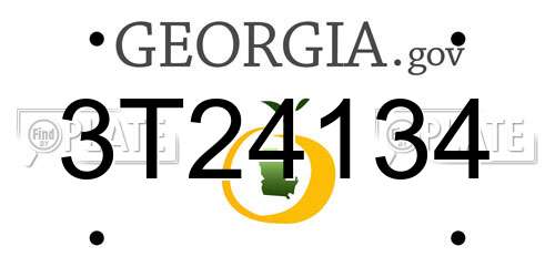 3T24134 Georgia License Plate