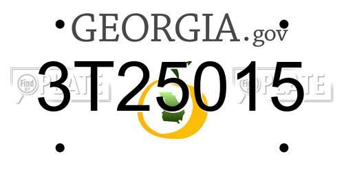 3T25015 Georgia License Plate