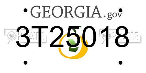 3T25018 Georgia License Plate