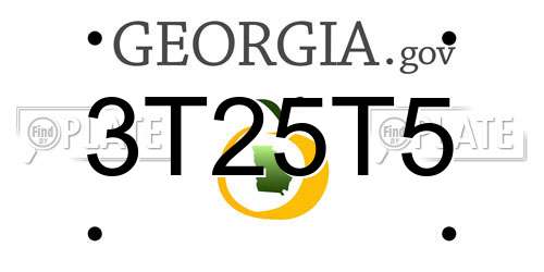 3T25T5 Georgia License Plate