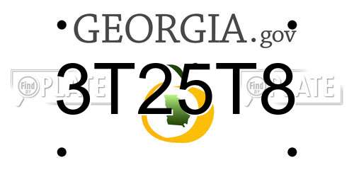3T25T8 Georgia License Plate