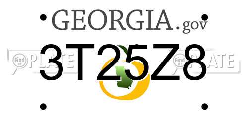 3T25Z8 Georgia License Plate